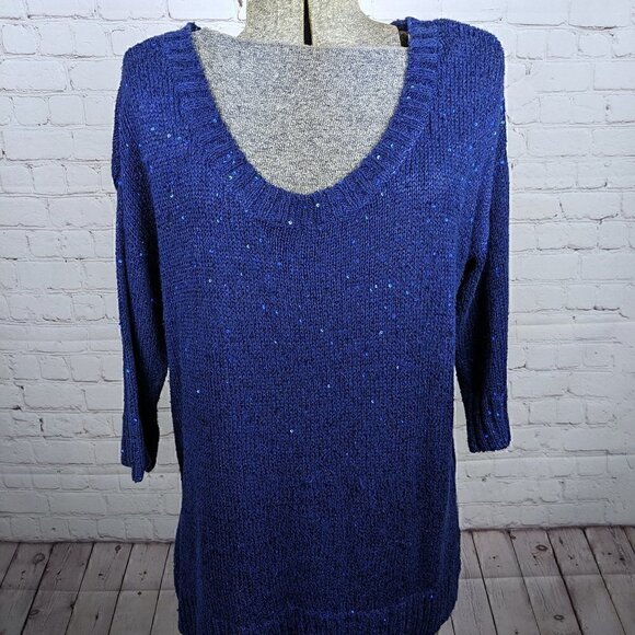 LIKE NEW a.n.a Blue Sparkly Sequin Sweater L - Picture 1 of 3